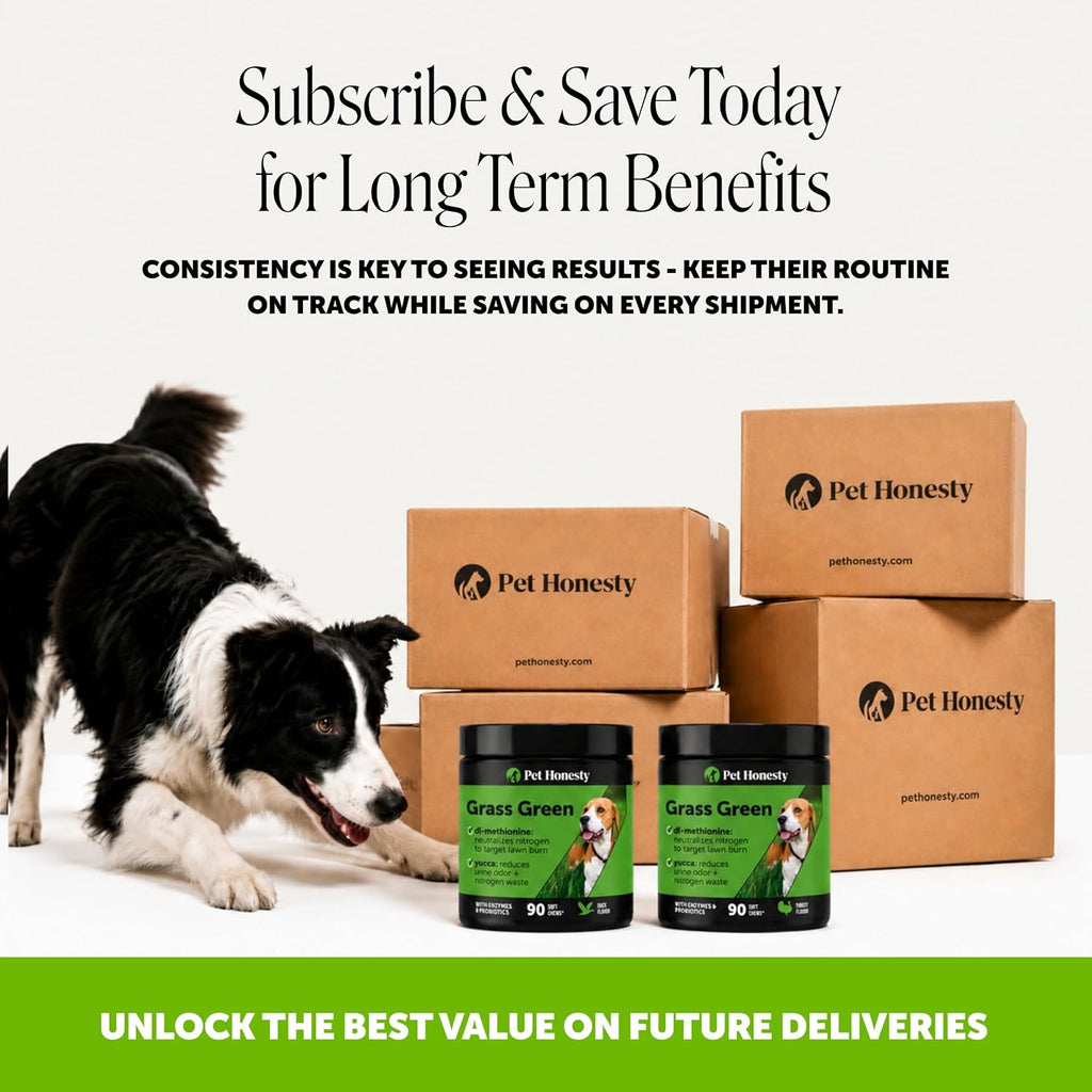 Grass Green Dog Urine Neutralizer for Lawns - Stops Yellow Burn Spots & Brown Grass - Lawn Saver Supplement with dl-Methionine, Probiotics & Digestive Enzymes - Green Grass Chews (Duck, 90 Ct)