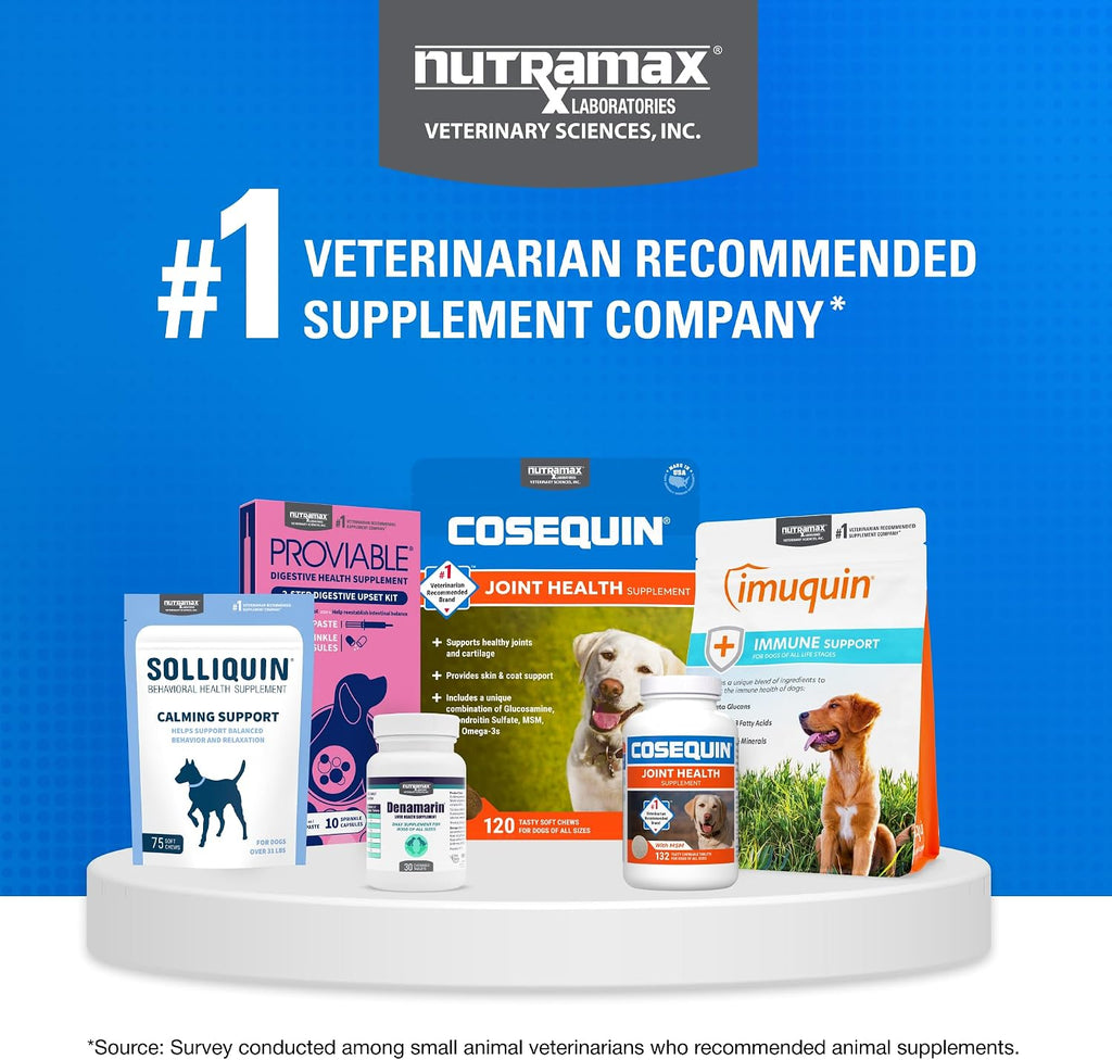 Nutramax Cosequin Joint Supplement for Dogs, Skin & Coat, Soft Chews,120ct | Glucosamine & Chondroitin for Dogs with MSM, Omega-3s, Supports Joints, Skin and Coat Health, All Ages & Sizes