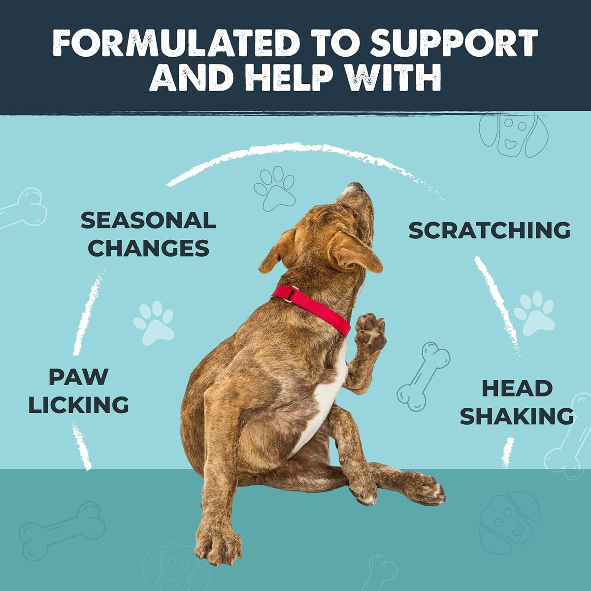 Mighty Paw Dog Allergy Chews, Itch Relief & Immune Support, 120ct | Bacon Flavor, Supports Normal Immune Health, Seasonal Skin Support, Vet Formulated, Made in USA