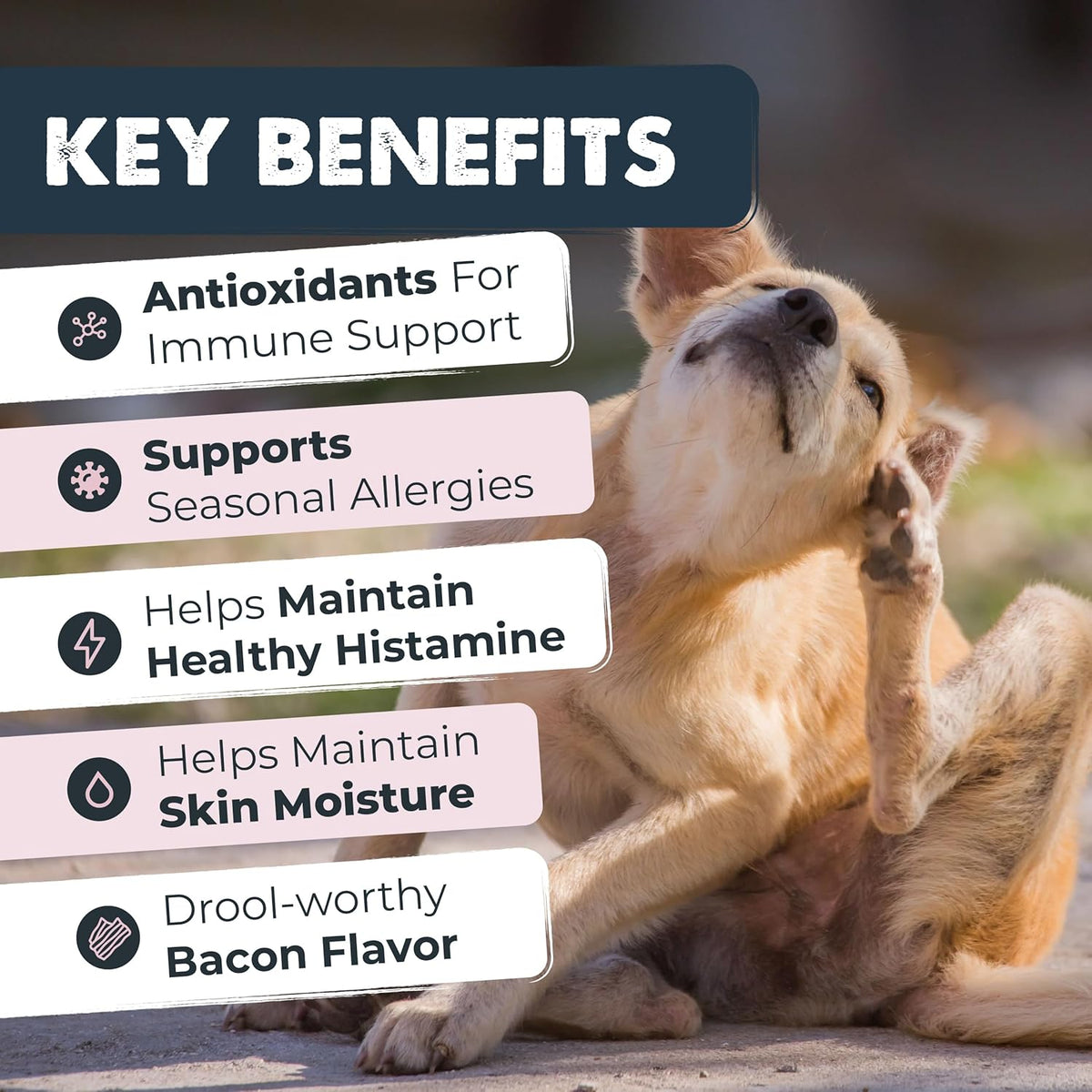 Mighty Paw Dog Allergy Chews, Itch Relief & Immune Support, 120ct | Bacon Flavor, Supports Normal Immune Health, Seasonal Skin Support, Vet Formulated, Made in USA