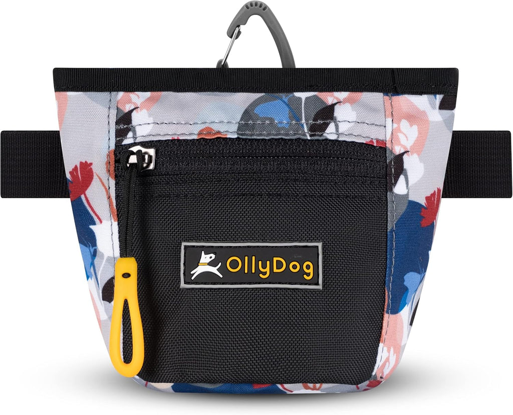 OllyDog, Goodie Treat Bag, Dog Treat Training Pouch | Magnetic Closure | 3 Ways to Wear | Hands-Free Waist Belt | Water-Resistant Recycled Vegan Fabric (Raven S'25)