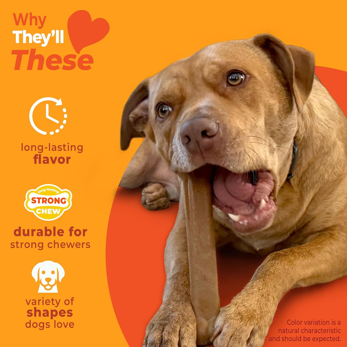 Nylabone Strong Chew Dog Toy 4-Pack, Durable Chew Toys, Large Dogs | Dog toys for aggressive chewers, made with real bacon, bison, venison, beef and chicken; for large breed dogs up to 50 lbs