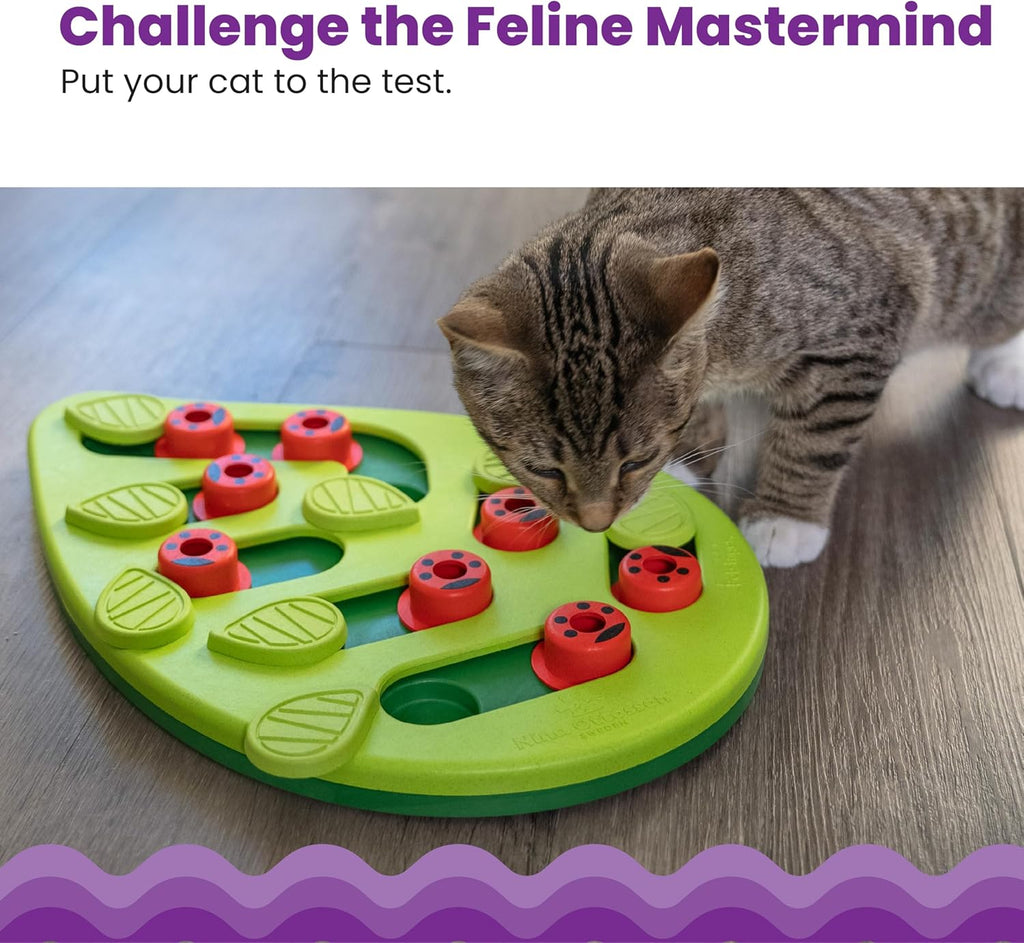 Catstages Nina Ottosson Buggin’ Out Puzzle & Play Cat Toy Treat Puzzle, 14"