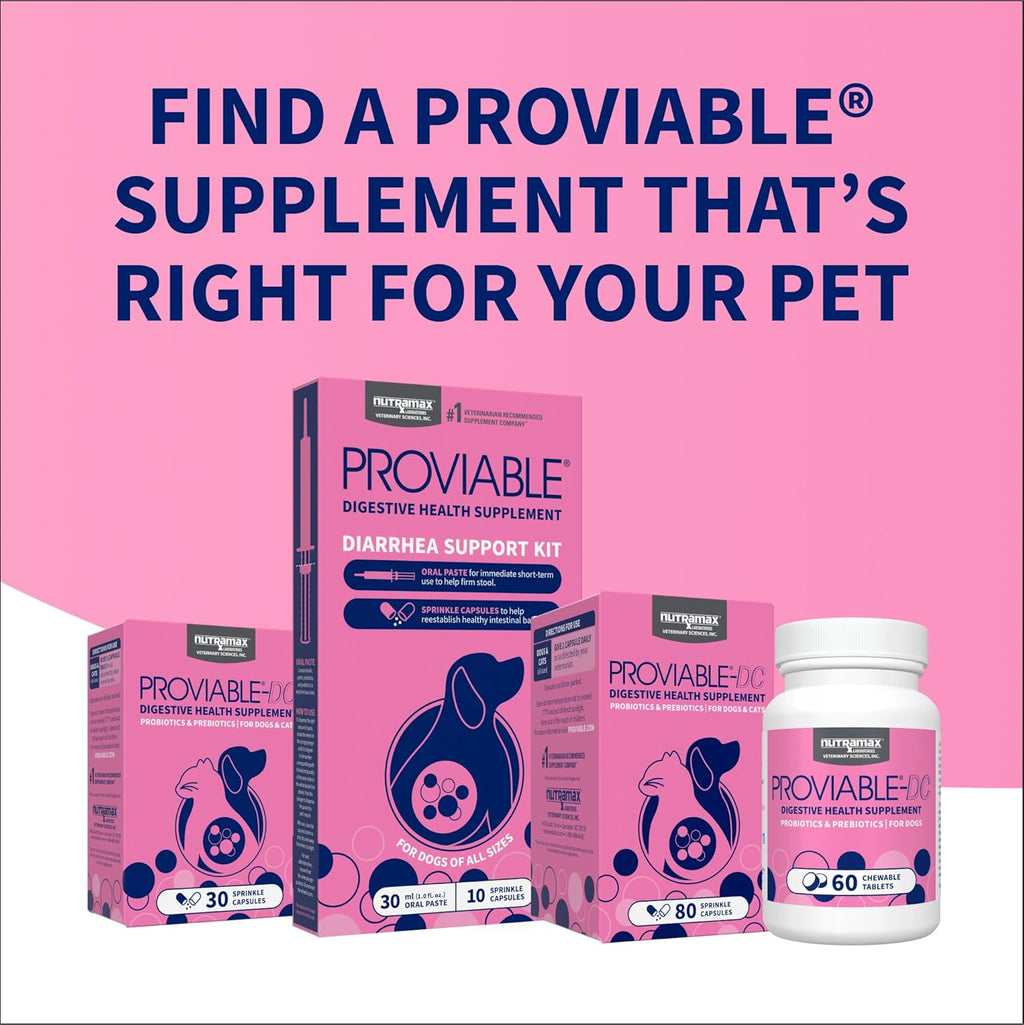 Nutramax Proviable Probiotics + Prebiotics, for Dogs & Cats, Capsules, 80ct | Probiotics and Prebiotics for Cats and Dogs, Daily Gut Health Support Supplement, Multiple Strains, Sprinkle on Food