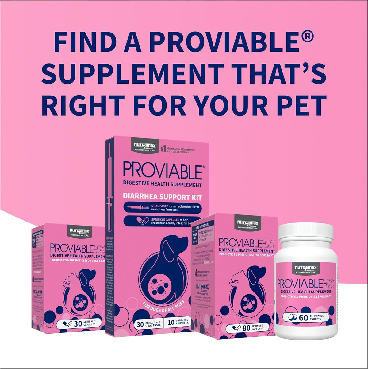 Nutramax Proviable Probiotics + Prebiotics, for Dogs & Cats, Capsules, 80ct | Probiotics and Prebiotics for Cats and Dogs, Daily Gut Health Support Supplement, Multiple Strains, Sprinkle on Food