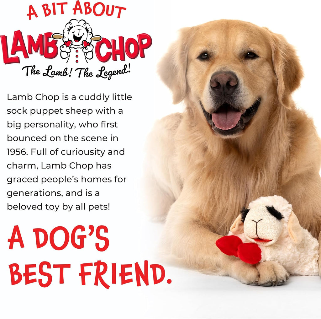 Multipet Lamb Chop Dog Plush Toy - Squeaky Toy for Small & Medium Dogs - Extra Soft Plush - Stuffed Animal for Cuddling & Playing (10", Cream, 5 Squeakers)