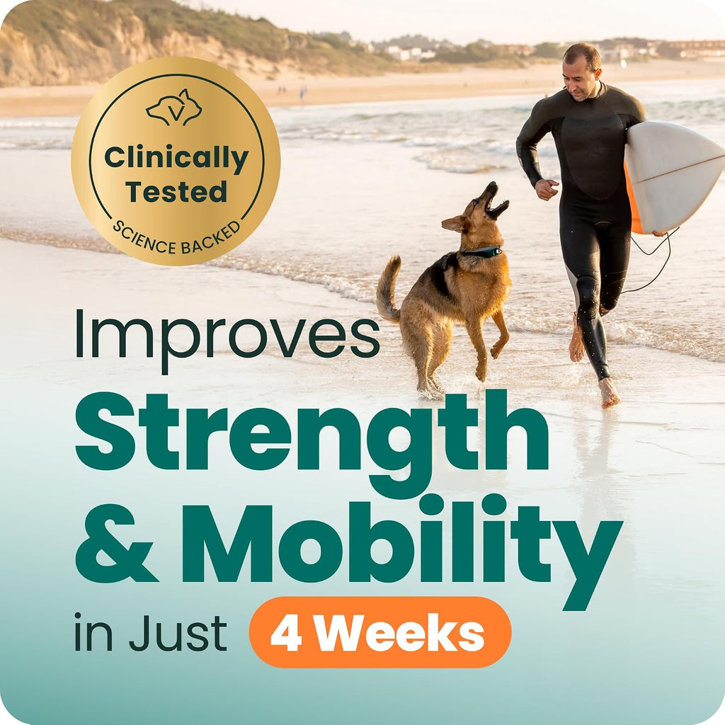 VetriScience Extra Strength Healthy Hip & Joint for Dogs, Chicken, 120ct | Supports Joint Health & Mobility, Vet-formulated w/Glucosamine, MSM, DMG & Green-Lipped Mussel