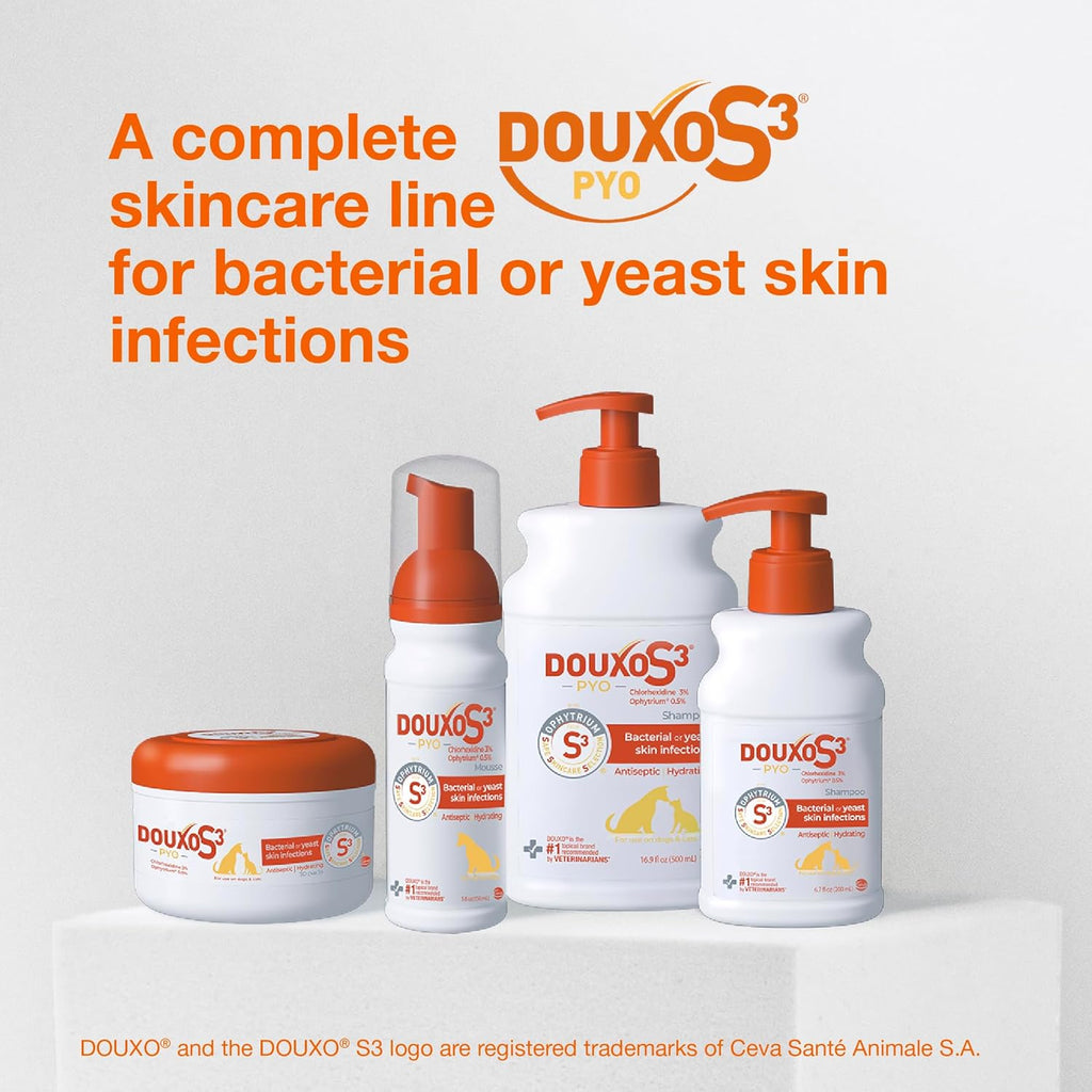 Douxo S3 PYO Medicated Dog Mousse - Bacterial & Yeast Infection Treatment | Chlorhexidine for Dogs; Waterless Shampoo, Antibacterial & Antiseptic, for Dogs Only, Clinically Proven, 5 fl oz