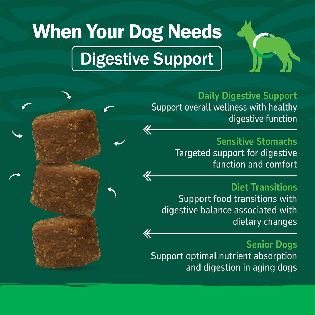 PetNC Natural Care Liver Flavor,Cheese Pre & Probiotic Soft Chews for Dog 120 ct (Pack of 1) (Packaging May Vary)