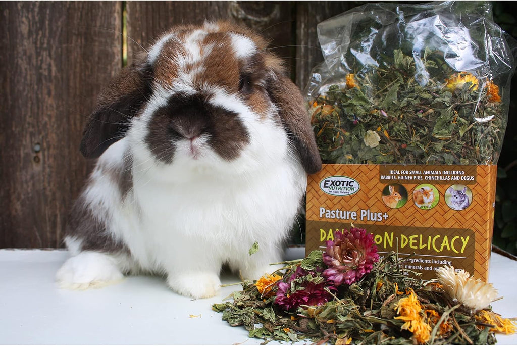 Exotic Nutrition Pasture Plus+ Dandelion Delicacy - Healthy Natural High-Fiber Dried Flower Treat - Guinea Pigs, Rabbits, Chinchillas, Prairie Dogs, Degus, Hamsters, Gerbils & Other Small Pets