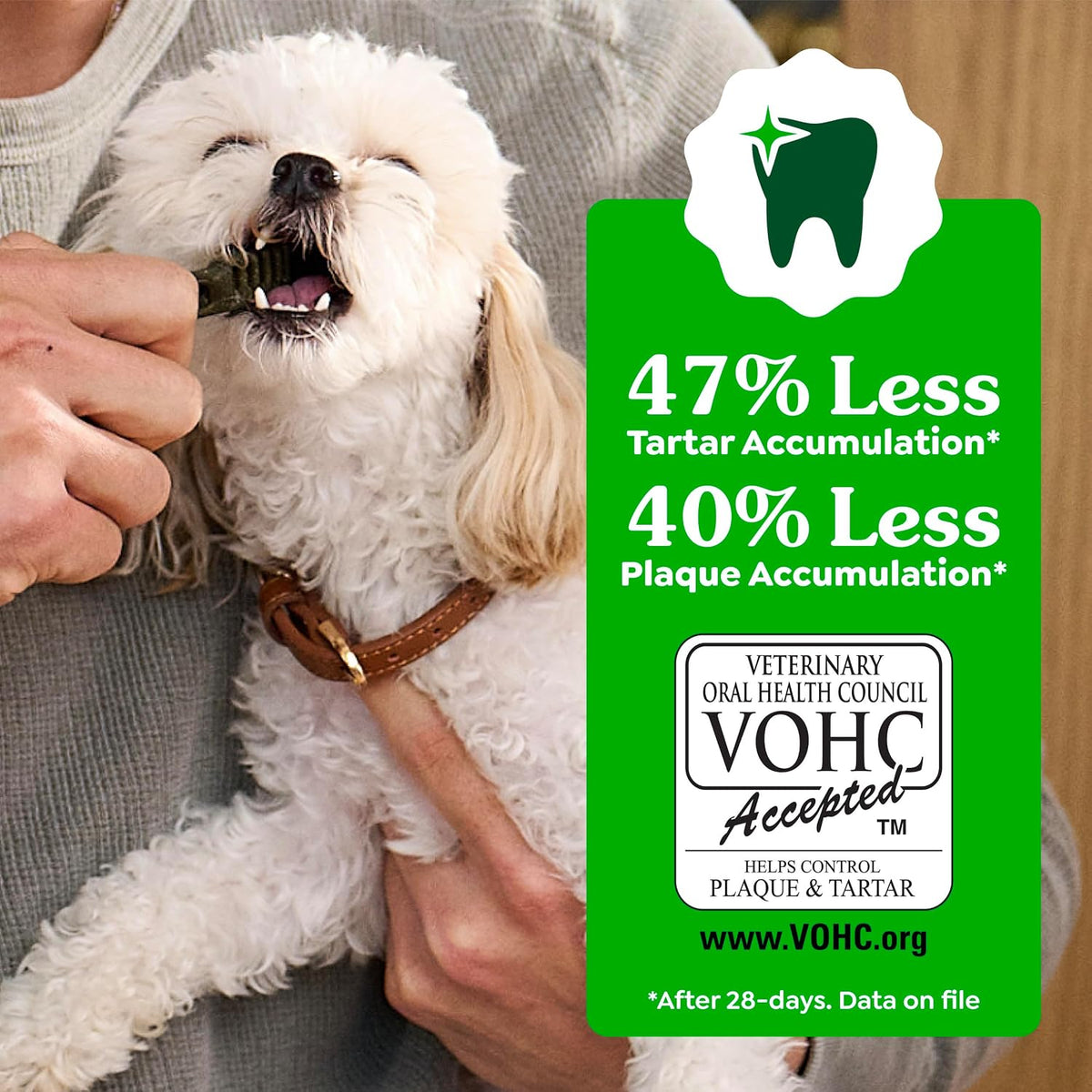 Greenies Regular Dental Dog Treats Flavor, Variety Pack, 36 Count | Veterinarian-recommended, Original, Blueberry, Sweet Potato flavors, (3) 12 oz. packs, for dogs 25-50 lbs, freshens breath