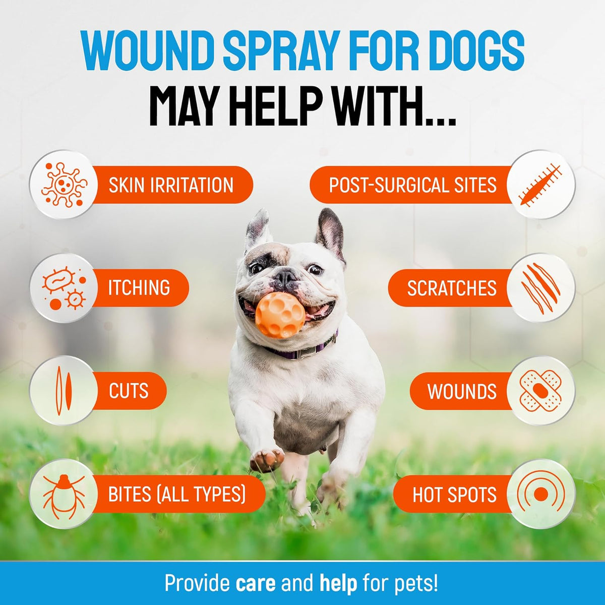SILVER GRADE Dog Wound Spray Helps with Hot Spots, Irritations, Bites, Burns, Rashes, Itch, Scratching – Better Use with a Dog Cone to Stop Licking – Safe for Large and Small Breeds – 4 oz