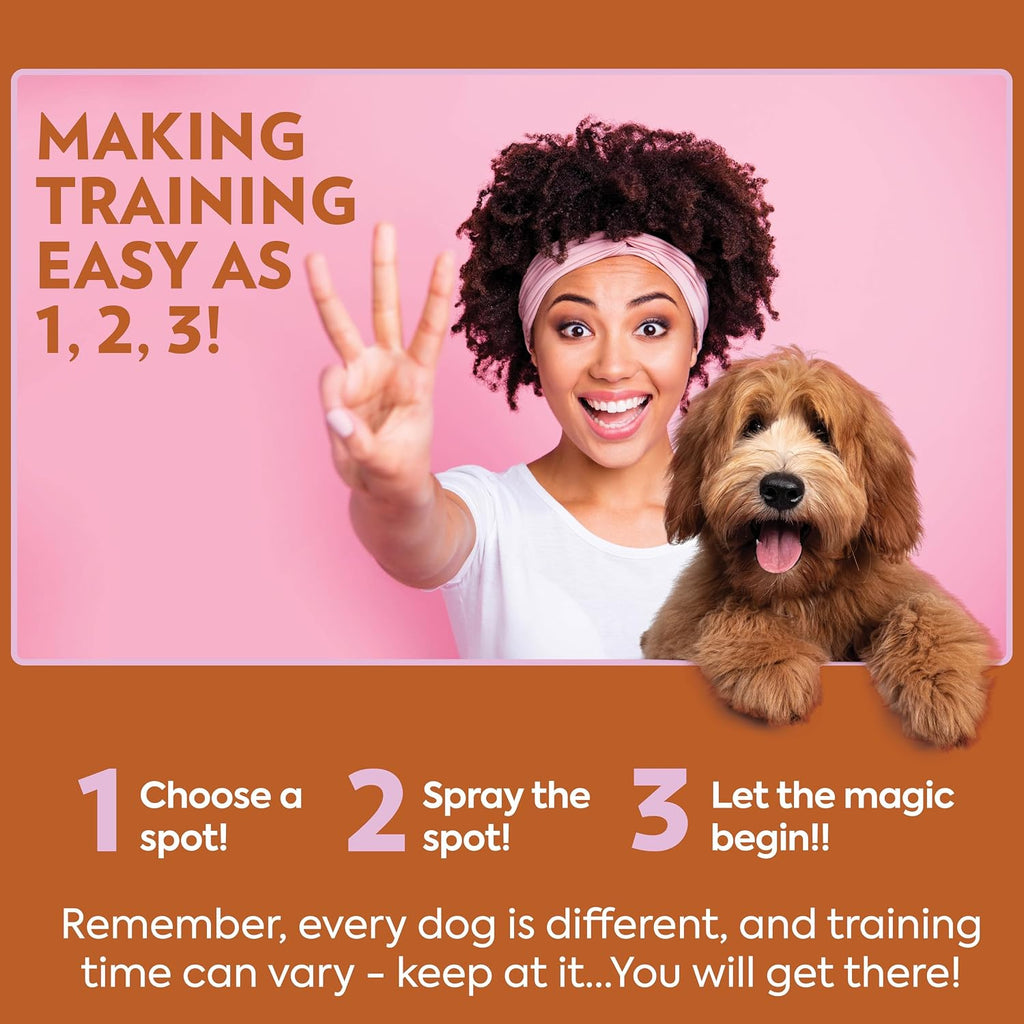 OUT! PetCare Go Here Attractant, Potty Training Spray for Dogs, 32oz | Dog Pee Spray, Puppy Potty Training, Housebreaking, Indoor & Outdoor, Pee Here Training, Training Aid, Easy Application