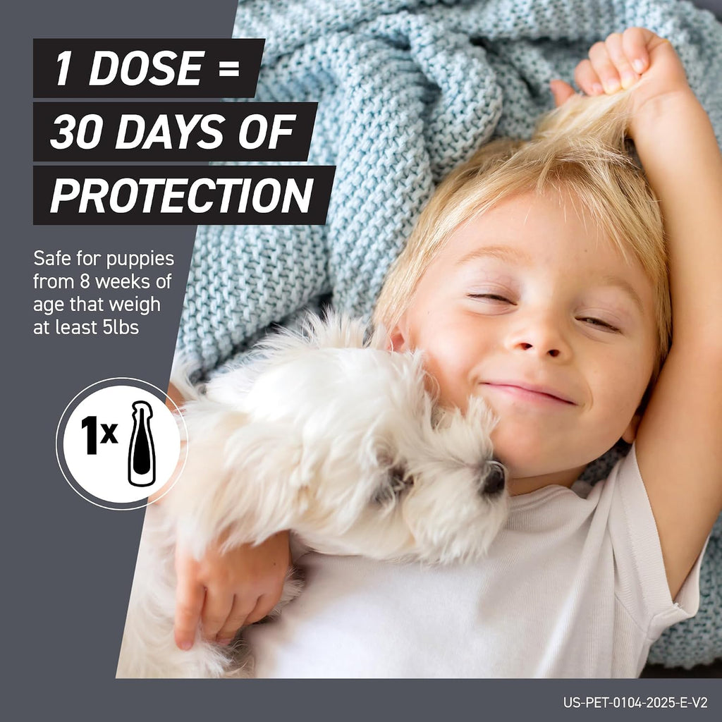 FRONTLINE Shield Flea & Tick Treatment for Large Dogs 41-80 lbs. Count of 3 | Kills fleas, ticks & chewing lice, repels mosquitoes, waterproof 24 hr, monthly application