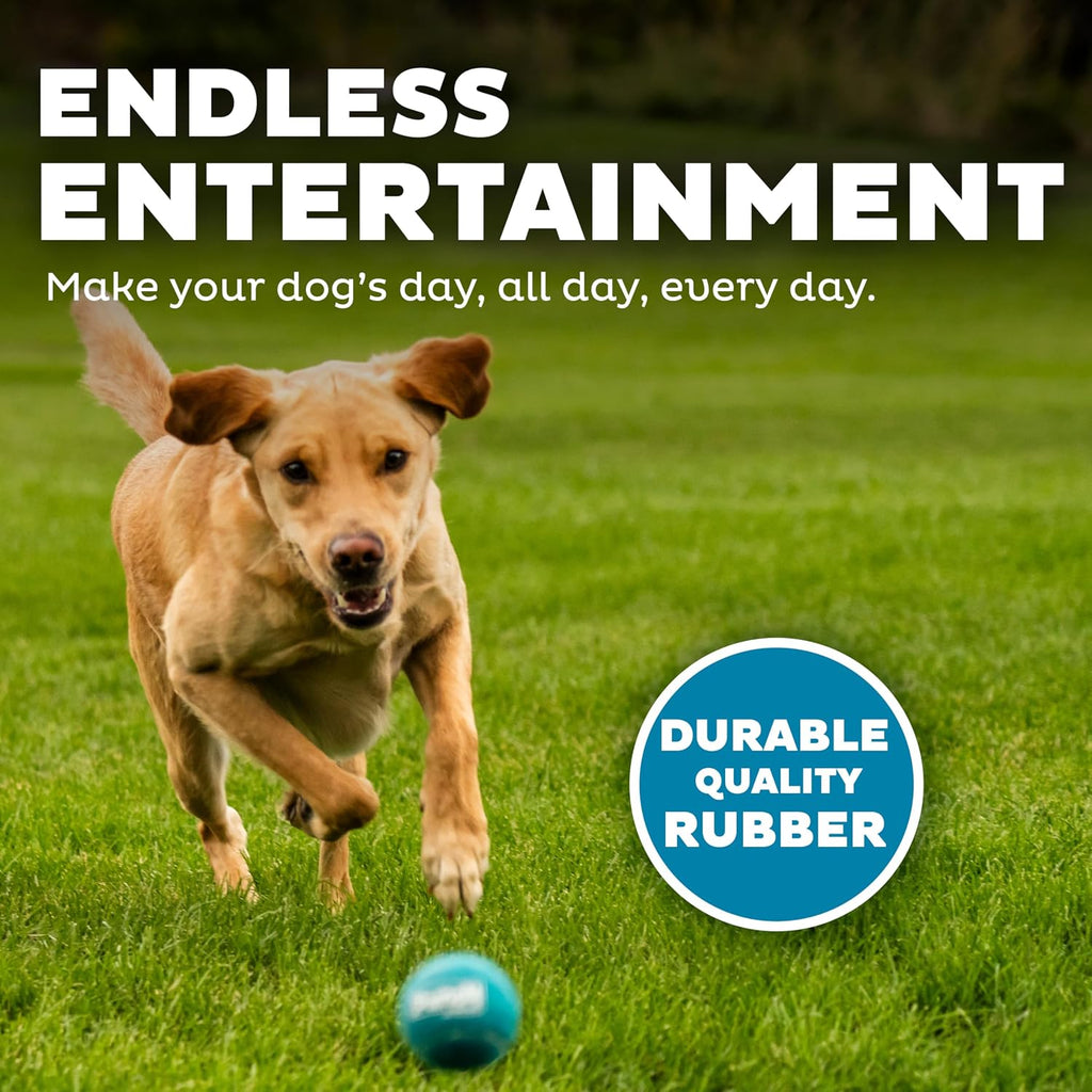 Outward Hound Squeaker Ballz Tennis Ball Dog Toy, Medium, 2.5", 4‑Pack | Squeaks & Bounces, Bright Colors, Interactive Fetch & Training, Indoor Outdoor, Moderate Chewers, Medium Dogs (Under 50 lbs)