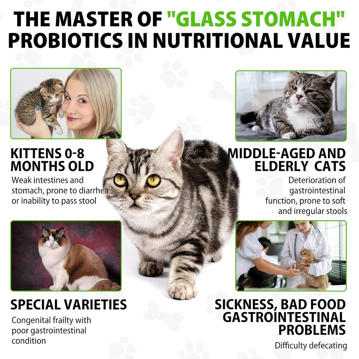 Cat Constipation Relief, Cat Laxative Constipation Relief, 100% Natural Laxative with 6 Probiotics Stool Softener, Promotes Digestive Health - 2 fl oz