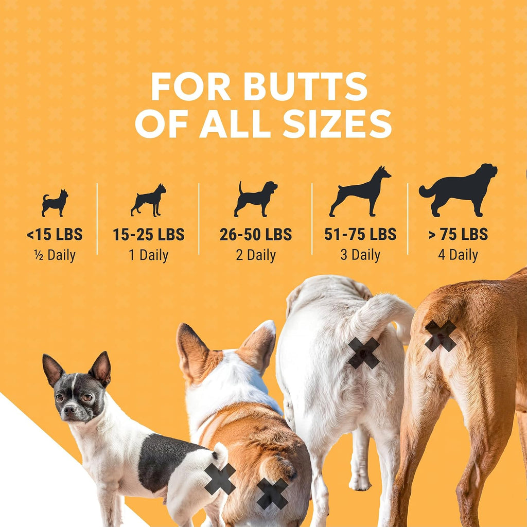 Nutramax Filaquin Anal Gland Supplement for Dogs, Soft Chews, 90ct | Dog Anal Gland Support Chews, Prebiotics & Postbiotics, Psyllium Husk Fiber, From the Same Company as Cosequin and Proviable