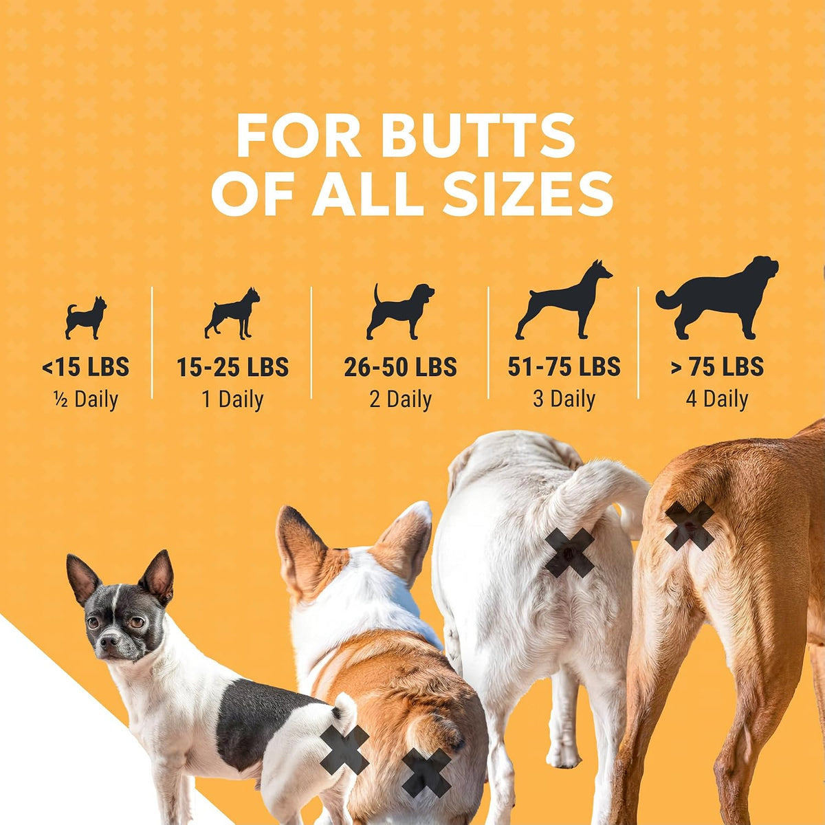Nutramax Filaquin Anal Gland Supplement for Dogs, Soft Chews, 90ct | Dog Anal Gland Support Chews, Prebiotics & Postbiotics, Psyllium Husk Fiber, From the Same Company as Cosequin and Proviable