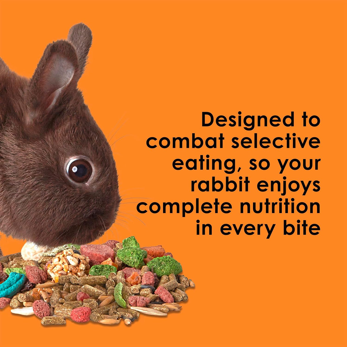 Kaytee Fiesta Rabbit Food, Supports Dental Health and Digestion