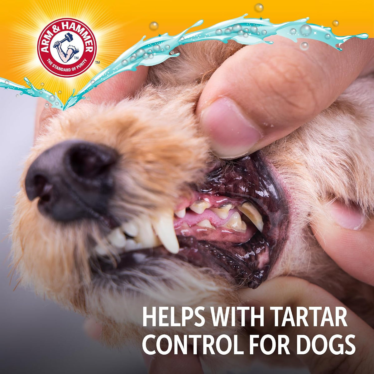 Arm & Hammer Complete Care Dog Dental Water Additive, 16 Fl Oz | Odorless, flavorless daily formula with baking soda and calcium fights plaque, tartar, and bad breath