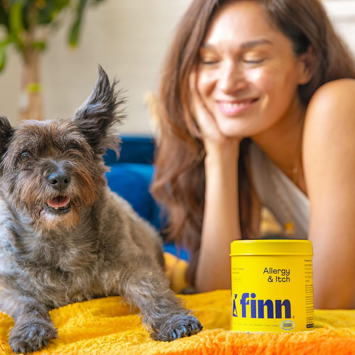 Finn Allergy & Itch Soft Chews for Dogs - Colostrum & Bee Propolis - 90 Ct | Quercetin & Probiotics - NASC Certified - Vet-Formulated - Seasonal & Environmental Allergy Relief