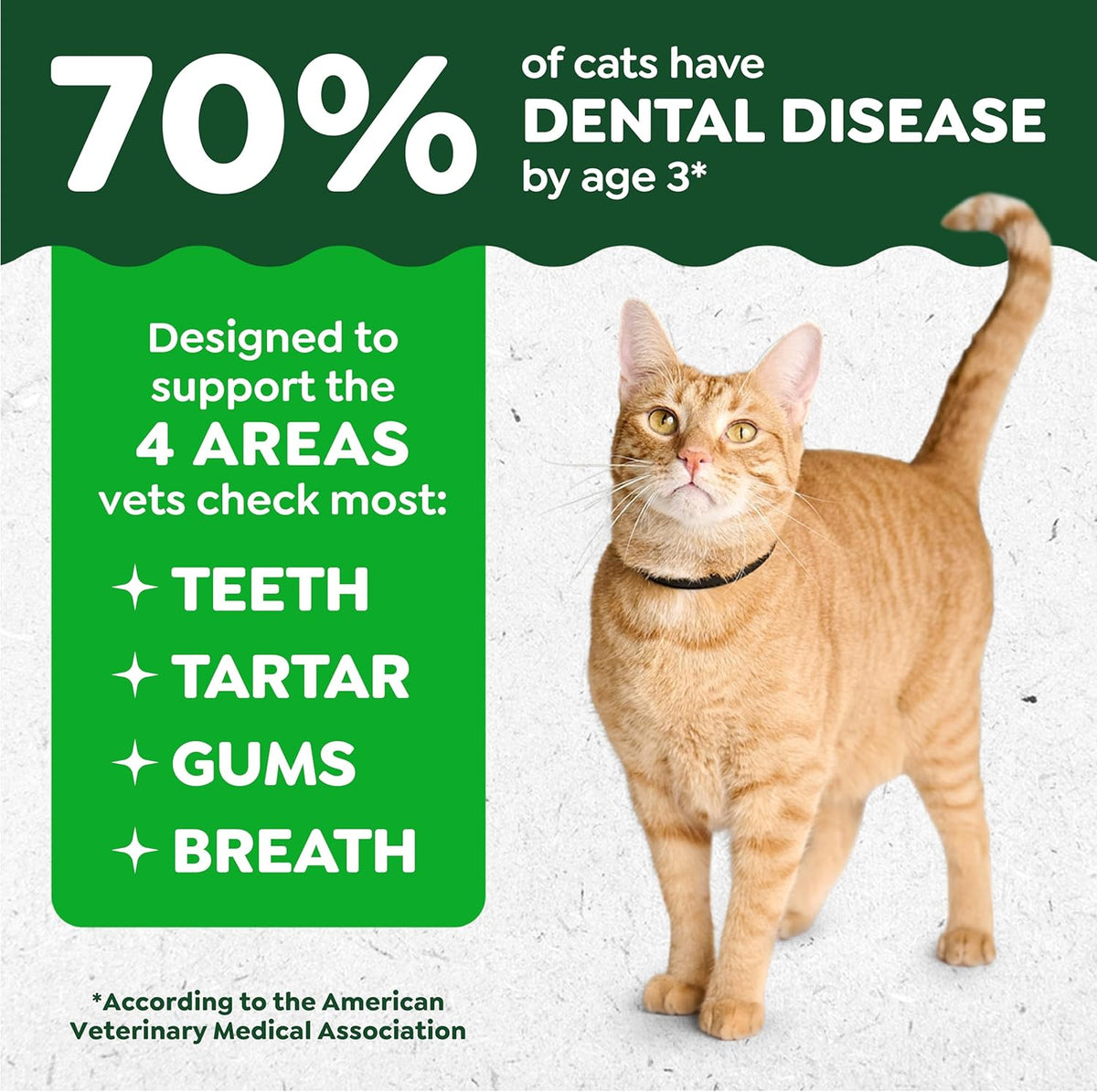 Greenies Feline Natural Crunchy Dental Cat Treats, Salmon Flavor, 9.75 oz