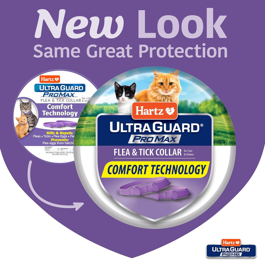Hartz UltraGuard ProMax Flea & Tick Collar for Cats & Kittens I 14 Months Protection I Soft & Comfortable | Kills Fleas, Ticks, and Larvae I 2 Pack