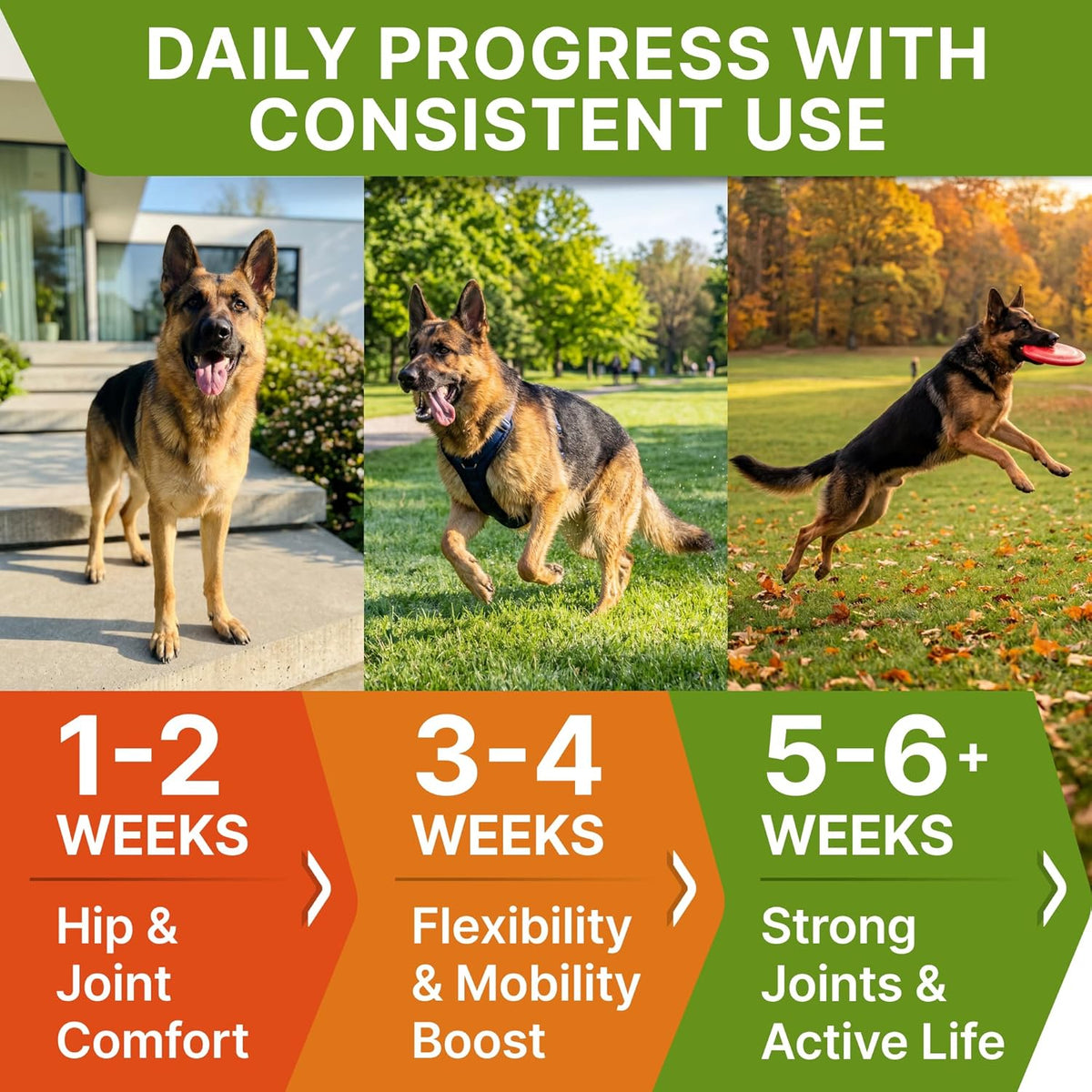 Advanced Glucosamine for Dogs, Chondroitin & MSM Hip Joint Supplement Chews | Made in USA - Supports Hip Joint Mobility w/Omega-3 - Joint Pain Relief - Chewable Treats, All Breeds - Vet-Approved (120Ct)