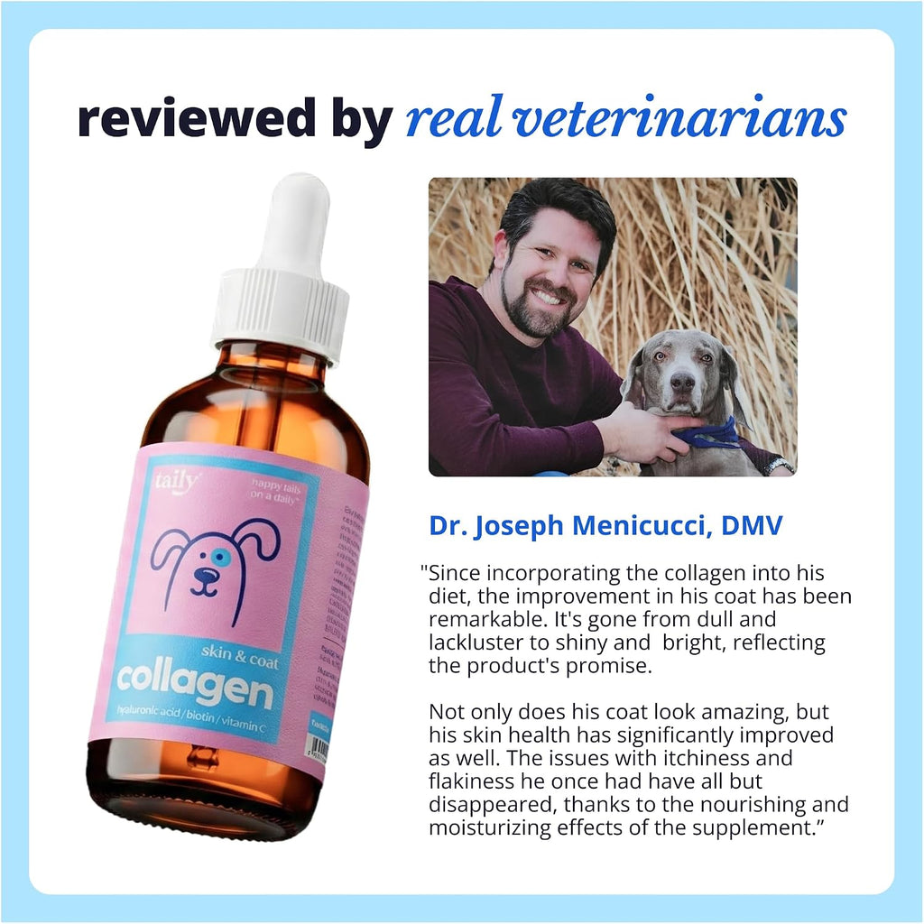 Skin and Coat Supplement for Dogs, Cats | Taily Liquid Collagen for Dogs | Itch Relief for Dogs with Allergies, with Grass Fed Collagen, Biotin, Vitamin C and Hyaluronic Acid | Made in USA