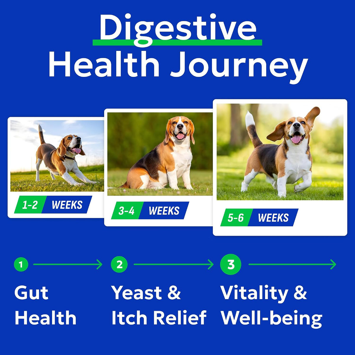 BARK&SPARK Probiotics for Dogs - Digestive Health Supplement Chews | Pet Dog Probiotics - Fiber & Enzymes - Diarrhea Gas Treatment Upset Stomach Relief - Allergy & Itchy Skin - 120Ct Chicken
