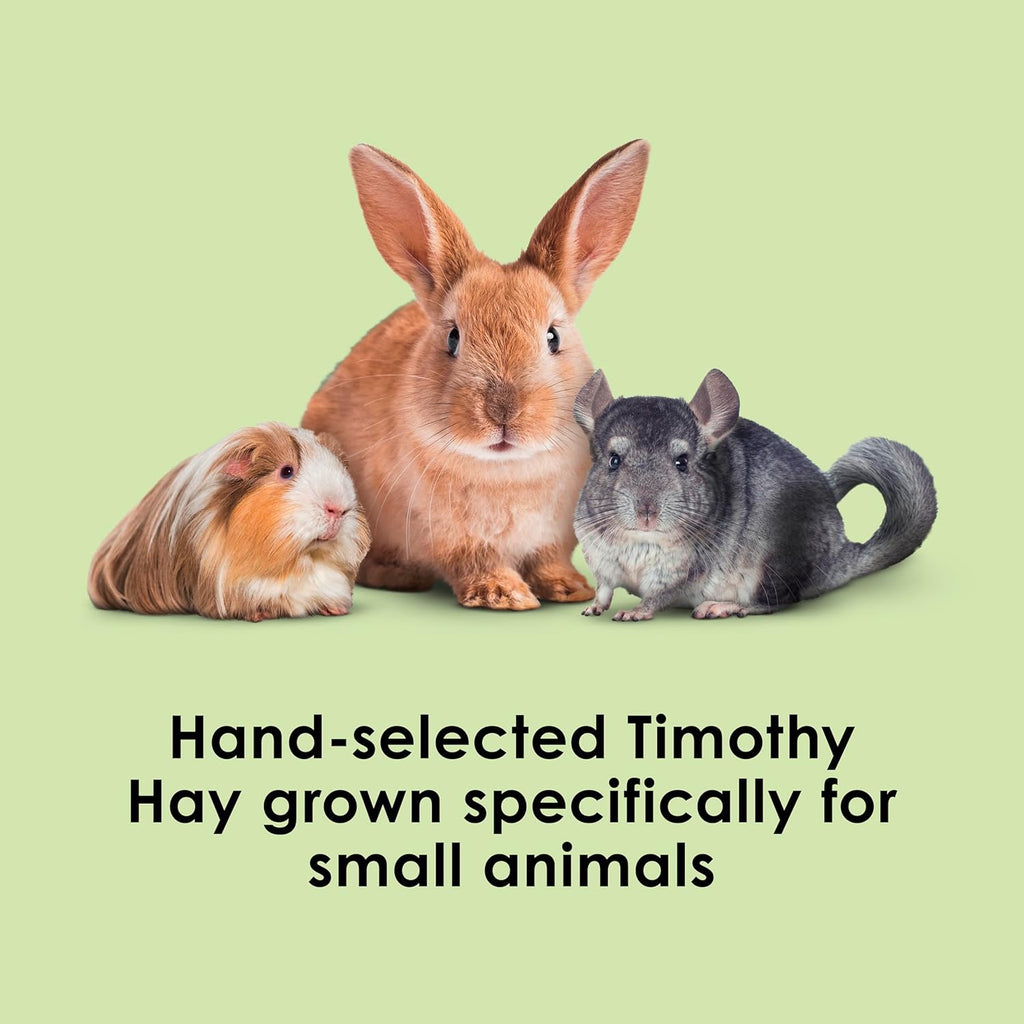 Kaytee Timothy Hay, High Fiber for Rabbits, Guinea Pigs, 48 Ounces