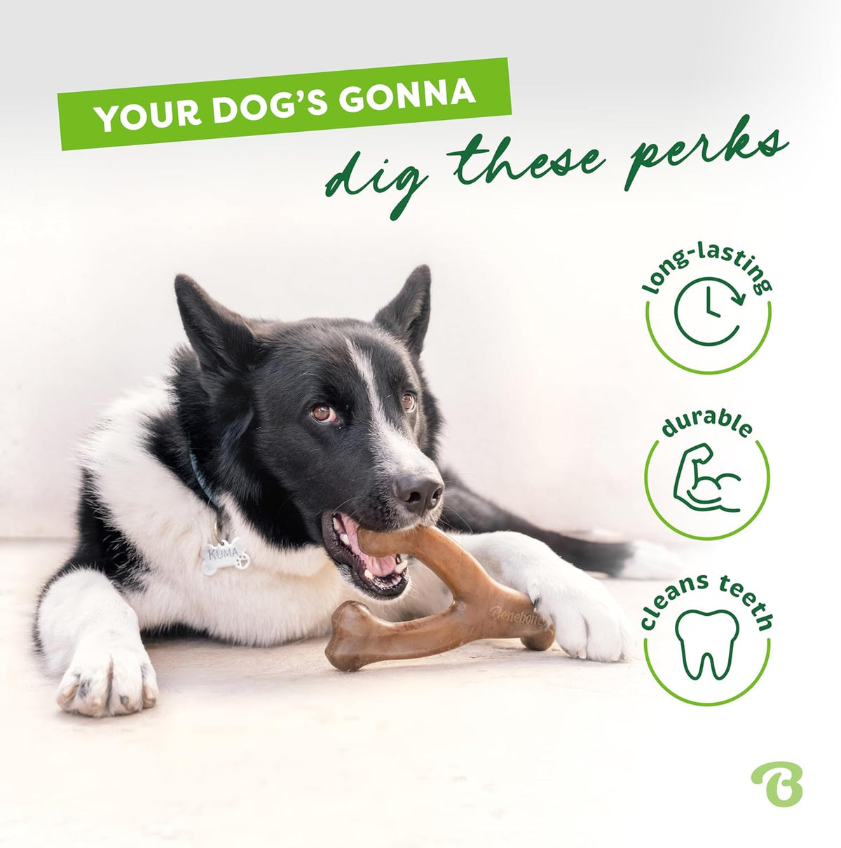 Benebone Wishbone Durable Dog Chew Toy for Aggressive Chewers, Made in USA, Small, Real Bacon Flavor | Durable, Super Chewer, Made in USA, Dog Bones, Long-Lasting, A Size for Every Dog, Keeps Them Busy