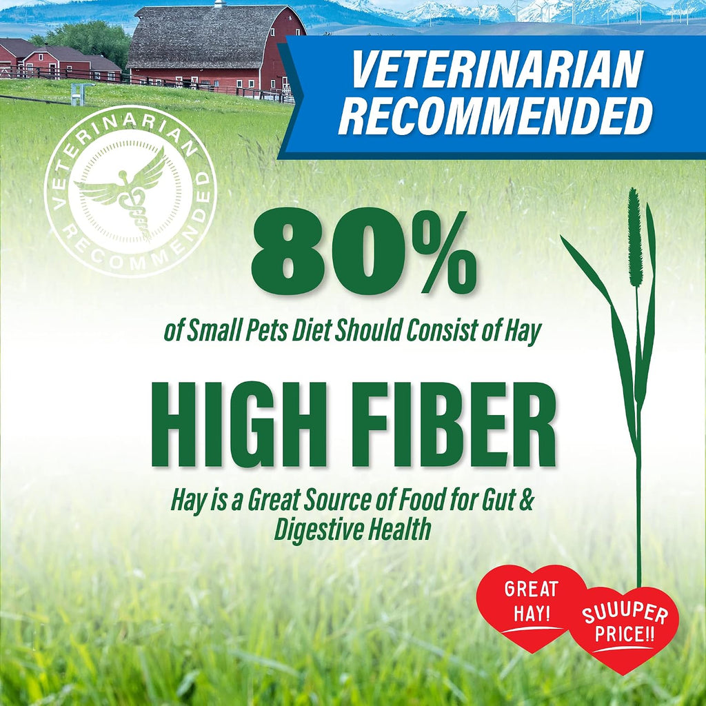 Small Pet Select Value Choice Timothy Hay, Rabbits & Guinea Pigs, 8 lb