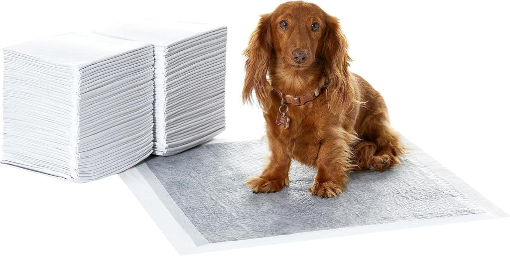 Amazon Basics Carbon Odor Control Dog and Puppy Pee Pads, 5-Layer Leak-Proof Super Absorbent, Quick-Dry Surface for Potty Training and Housebreaking, X-Large Size 28"x34", Gray, 50 Count