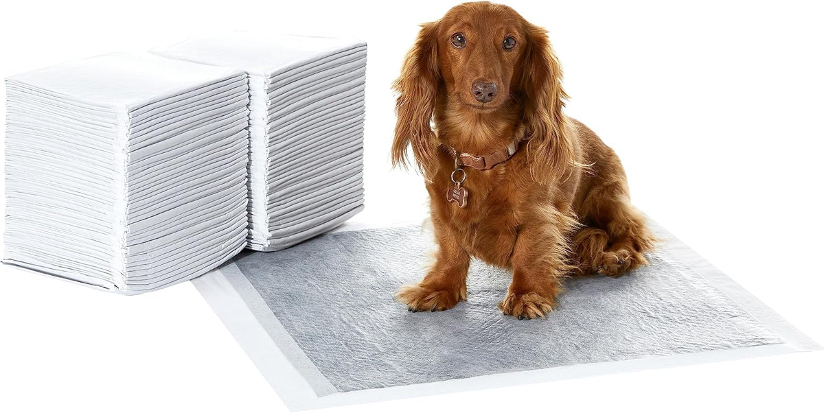 Amazon Basics Carbon Odor Control Dog and Puppy Pee Pads, 5-Layer Leak-Proof Super Absorbent, Quick-Dry Surface for Potty Training and Housebreaking, X-Large Size 28"x34", Gray, 50 Count