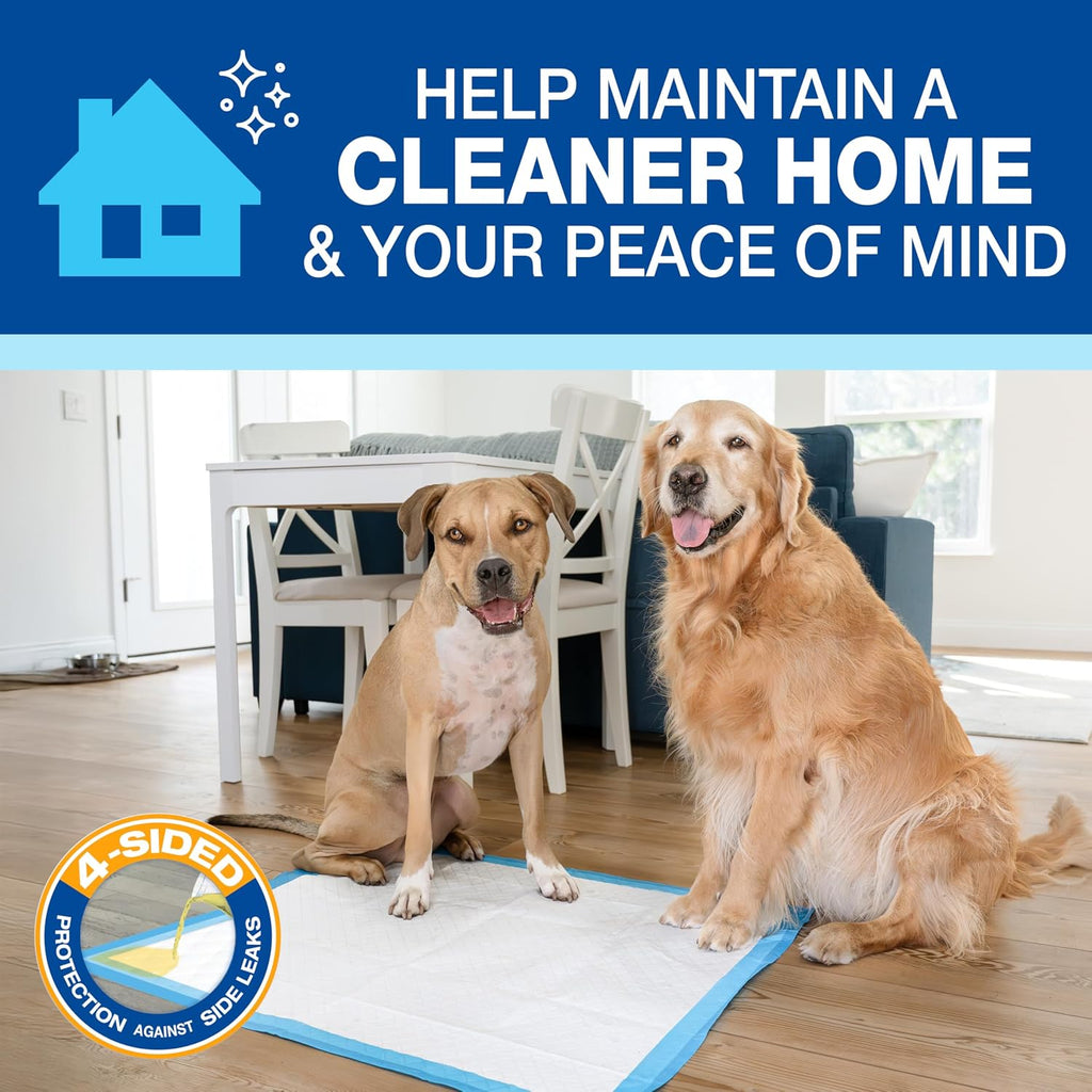 Four Paws Wee-Wee Superior Performance X-Large Dog Pee Pads, 40 Count | Puppy & dog potty training pads, housebreaking supplies, xl puppy pads, pet supplies, 24-hour floor protection, 28" x 34"