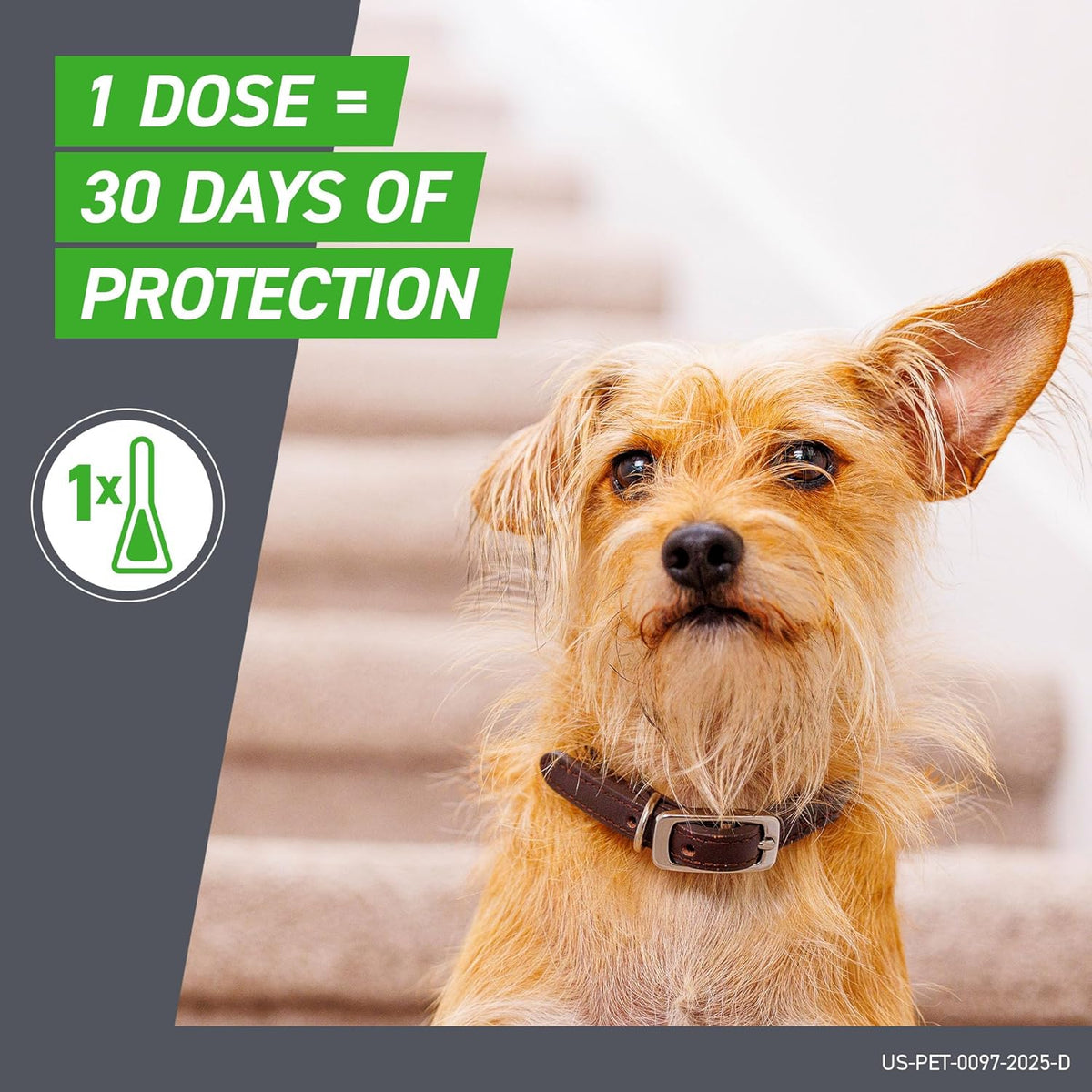 Frontline Plus for Dogs Medium Dog (23-44 pounds) Flea and Tick Treatment, 6 Doses | Trusted by pet owners for over 20 years,² kills fleas, ticks & chewing lice, waterproof 24 hr