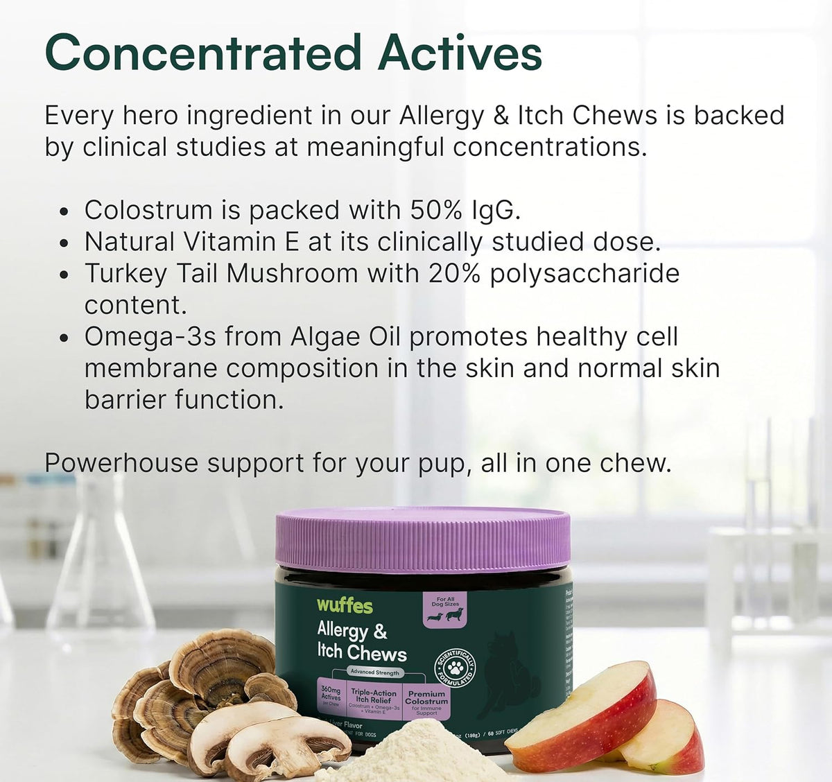 Wuffes Allergy & Itch Chews for Dogs | Supplement for Occasional Allergies. All Breed Sizes. Made with Colostrum, Vitamin E & Omega-3s. Pork Flavor. 60 ct.
