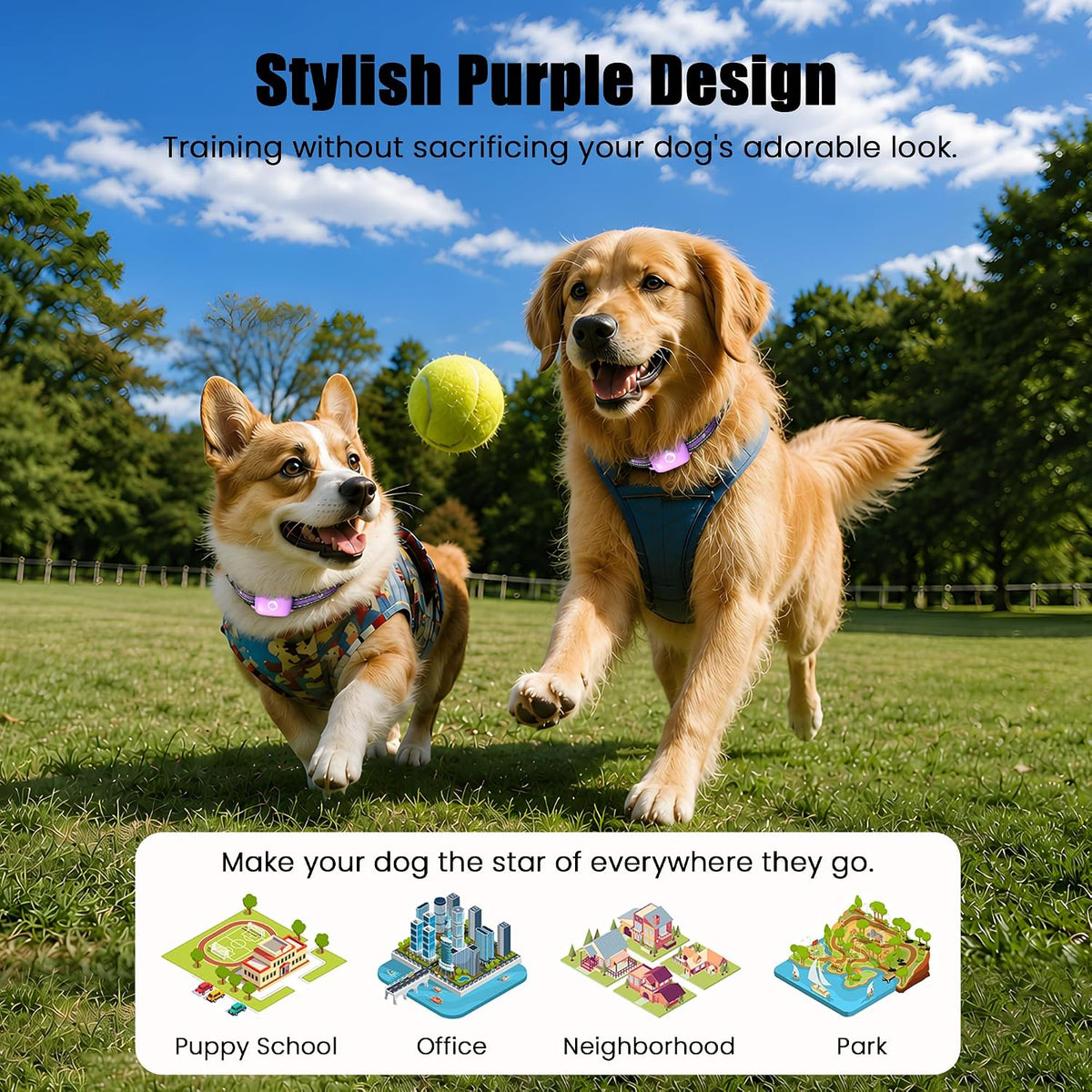 Shock Collar for Dogs 2600FT,Dog Training Collar with Remote Purple | Beep/Vibration/Shock, Security Lock, Rechargeable e Collar, IPX8 Waterproof, Shock Collar for 10-120lbs All Breed Sizes