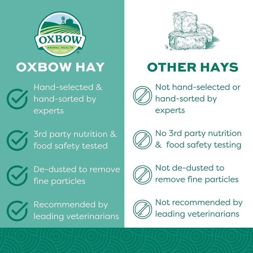 Oxbow Orchard Hay, Rabbit & Guinea Pig Hay, Hand-Sorted, De-Dusted, 40 oz