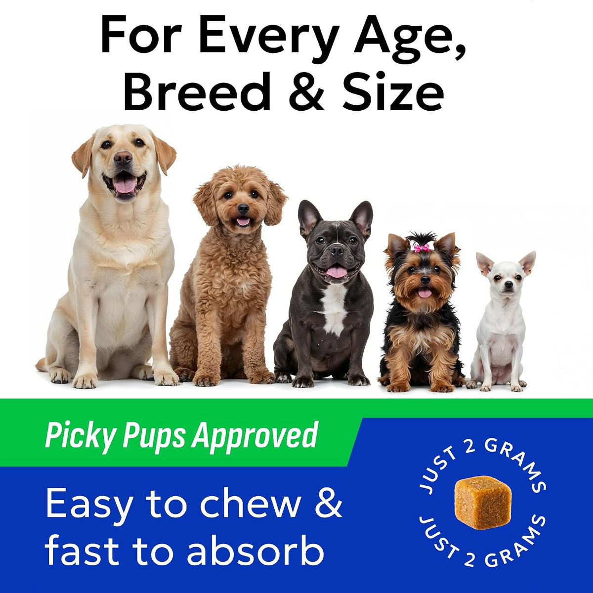 BARK&SPARK Probiotics for Dogs - Digestive Health Supplement Chews | Pet Dog Probiotics - Fiber & Enzymes - Diarrhea Gas Treatment Upset Stomach Relief - Allergy & Itchy Skin - 120Ct Chicken