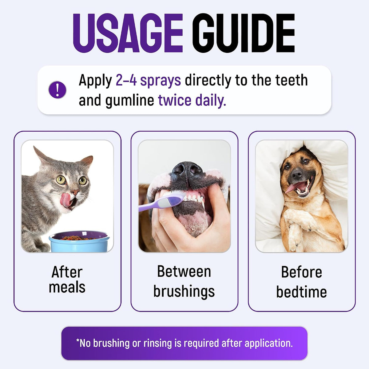 SILVER GRADE Teeth & Gum Cat & Dog Breath Freshener Spray – No Brushing Dog Dental Care Helps with Tartar & Caries – Pet Plaque Remover with Silver 25 PPM – Gentle Formula for Healthy Gums – 4 oz