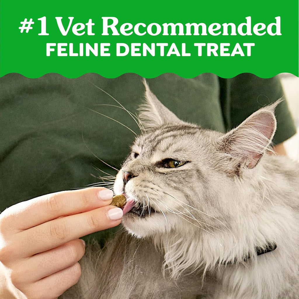 Greenies Feline Natural Crunchy Dental Cat Treats, Salmon Flavor, 9.75 oz