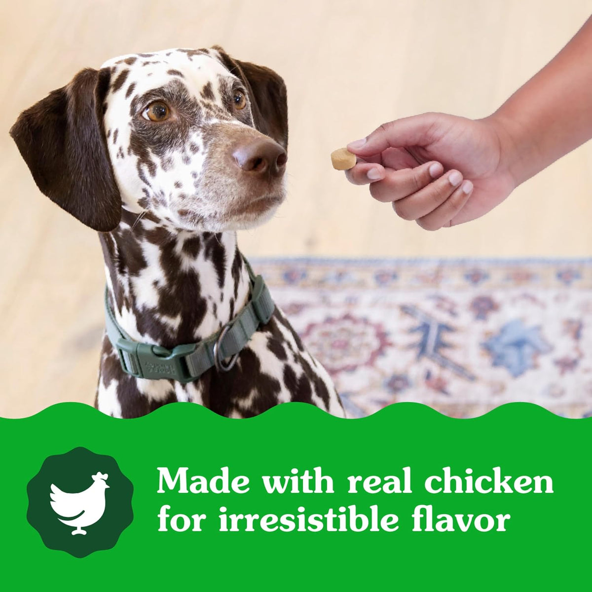 Greenies Supplements Calming Chews for Dogs, Chicken Flavor, 40 Count | L-Tryptophan & L-Theanine, supports positive behavior, made in USA, NASC Quality Seal, real chicken, no fillers