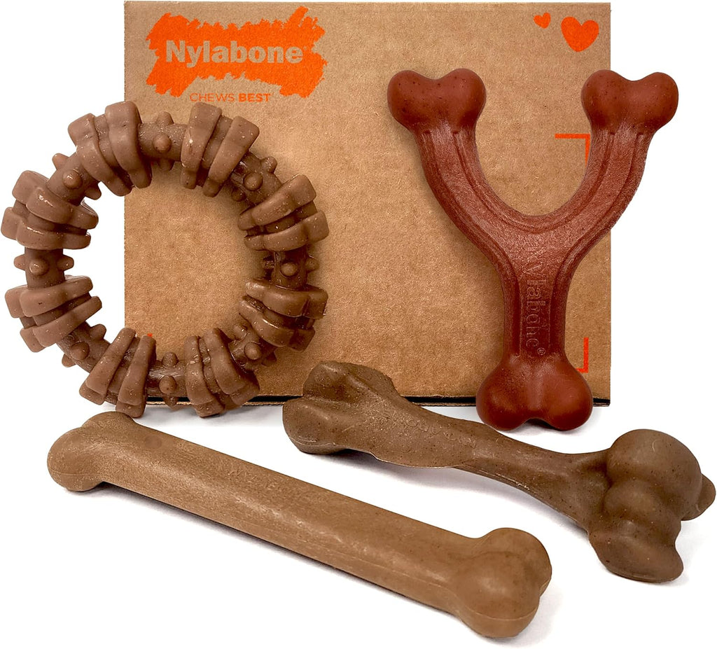 Nylabone Strong Chew Dog Toy 4-Pack, Durable Chew Toys, Large Dogs | Dog toys for aggressive chewers, made with real bacon, bison, venison, beef and chicken; for large breed dogs up to 50 lbs