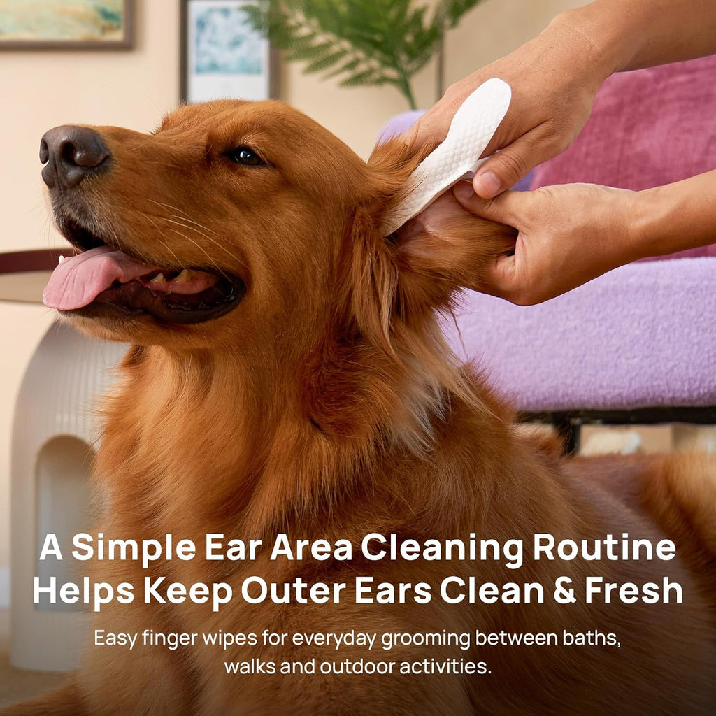 HICC PET Ear Cleaner Finger Wipes for Dogs & Cats, Coconut Scent, 50 Count | Removes Ear Dander, Dirt & Debris for Fresher Ears, Gentle Extra-Large Finger Wipes for Daily Ear Cleaning
