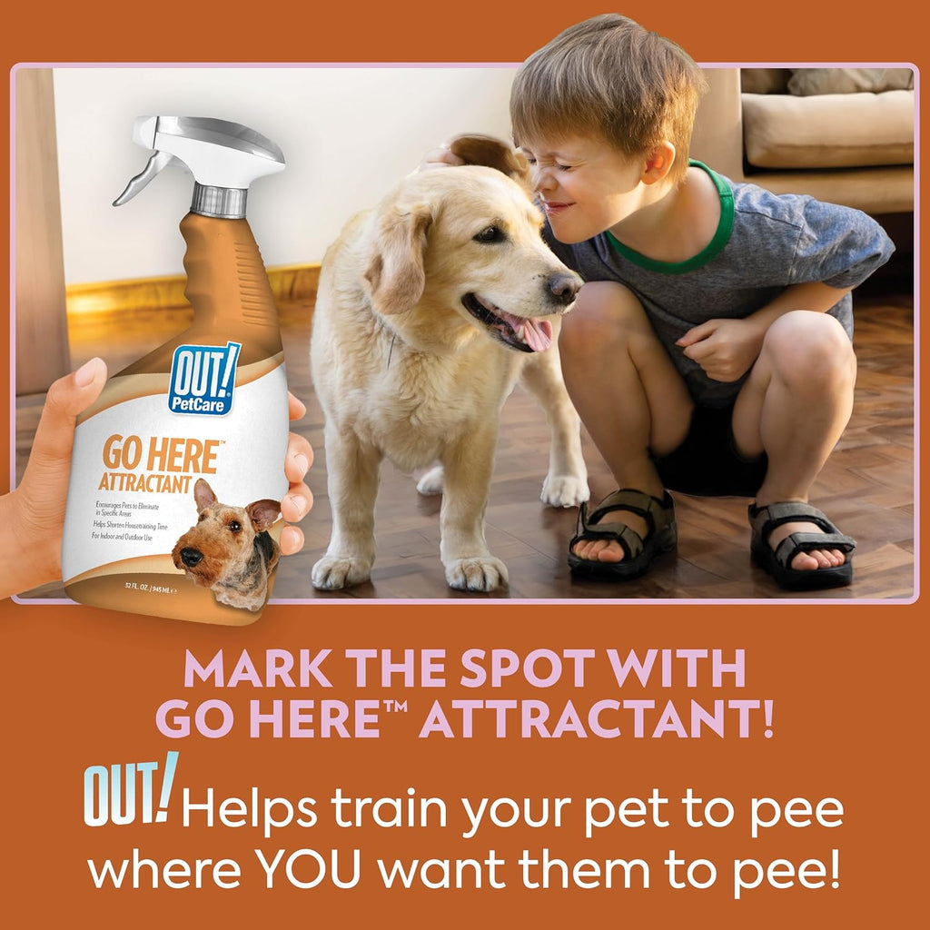 OUT! PetCare Go Here Attractant, Potty Training Spray for Dogs, 32oz | Dog Pee Spray, Puppy Potty Training, Housebreaking, Indoor & Outdoor, Pee Here Training, Training Aid, Easy Application