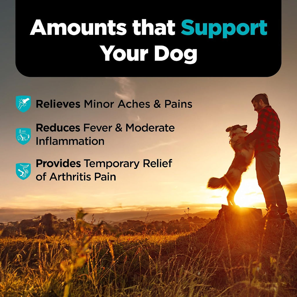 Nutri-Vet Dog Aspirin, Aspirin Tablets for Large Dogs, 300mg, 75 Count | Aspirin for Dogs, Joint Support, Inflammation Care, Large Breeds, Occasional Use, Pet First Aid, Tablet Formula, Easy Dosing