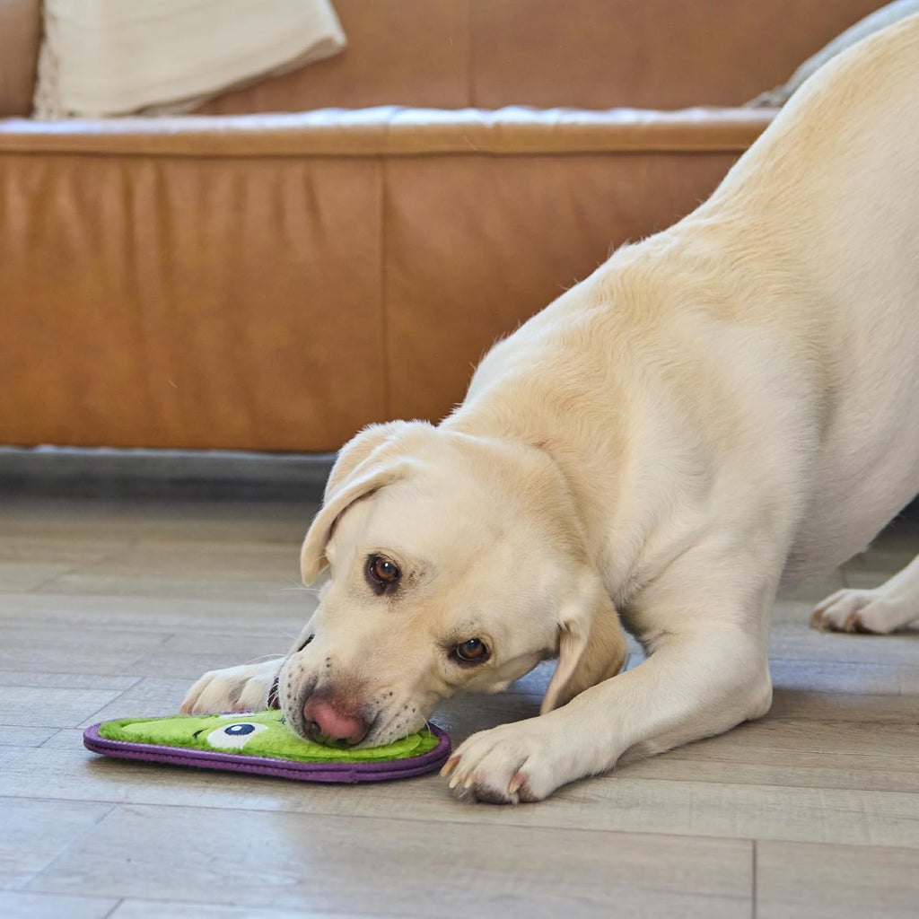 Outward Hound Tough Skinz Durable Chew Plush Squeaky Dog Toy, Avocado, 9" | 4 Tough Layers, Triple Stitched Seams, No Stuffing, Less Mess, Jumbo Squeaker, Fetch & Toss, Tough Chewers, Dogs & Puppies