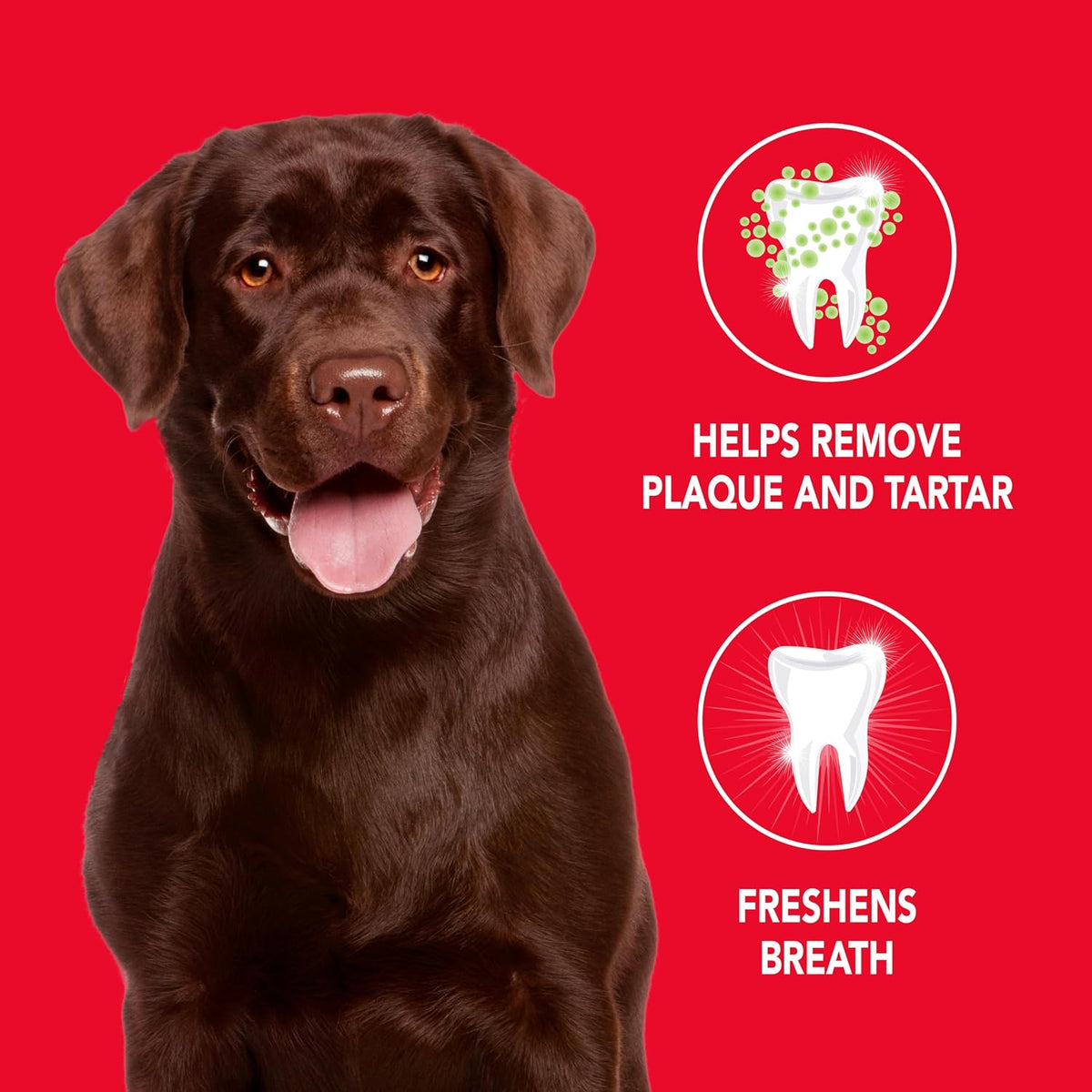 Petrodex Enzymatic Dog Toothpaste, Poultry Flavor, 6.2oz | Cleans teeth & fights bad breath; reduces plaque & tartar; enzymatic, no-rinse formula; poultry flavor; dogs & puppies